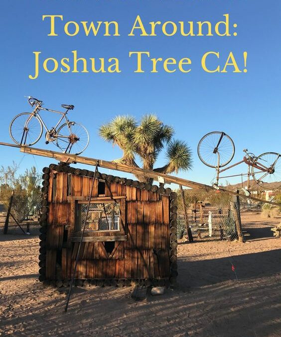 Joshua Tree California Desert Hiking Guide!