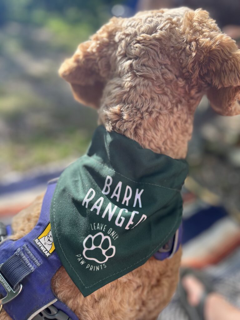 Bark Ranger has arrived to hike in the US National Parks.