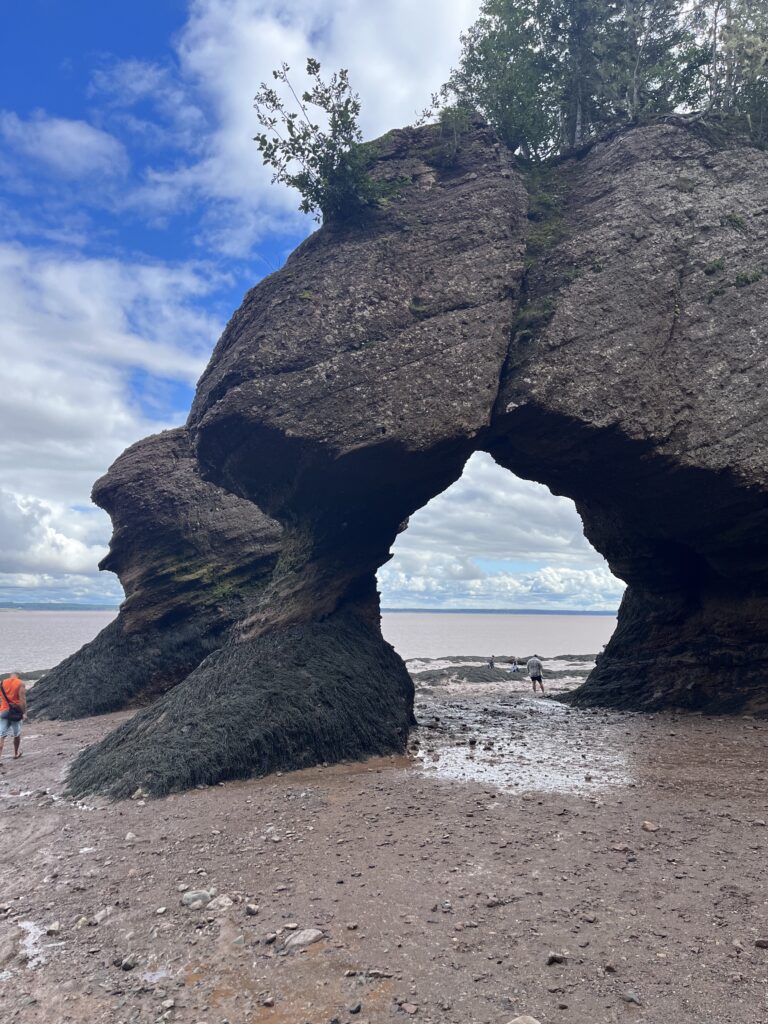 Hopewell Rock in New Brunswick at Low Tide!