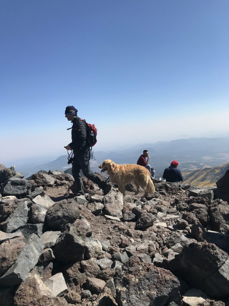A hard working pooch atop the high point of Arizona (Humphrey's Peak!)