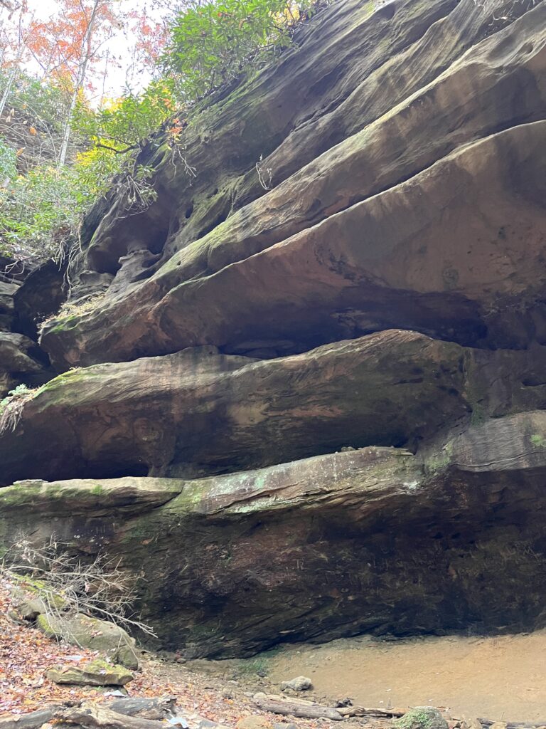 Rock Bridge is a great dog friendly hike in Red River Gorge Kentucky.