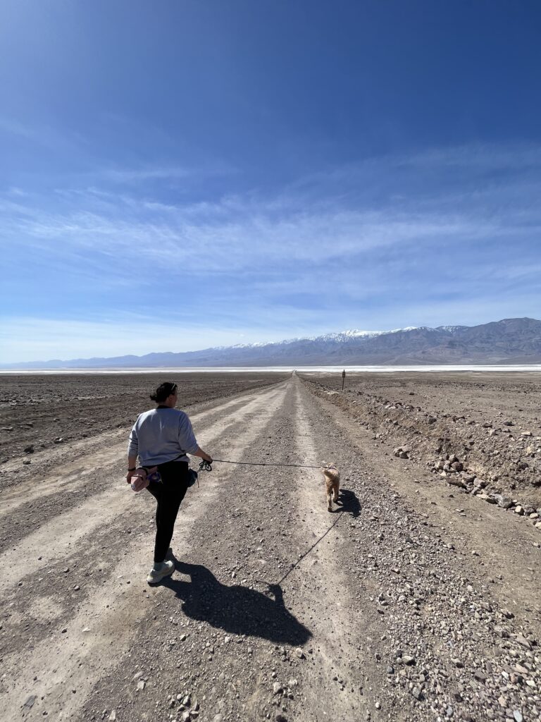 Dirt road dog friendly walk in Death Valley National Park.