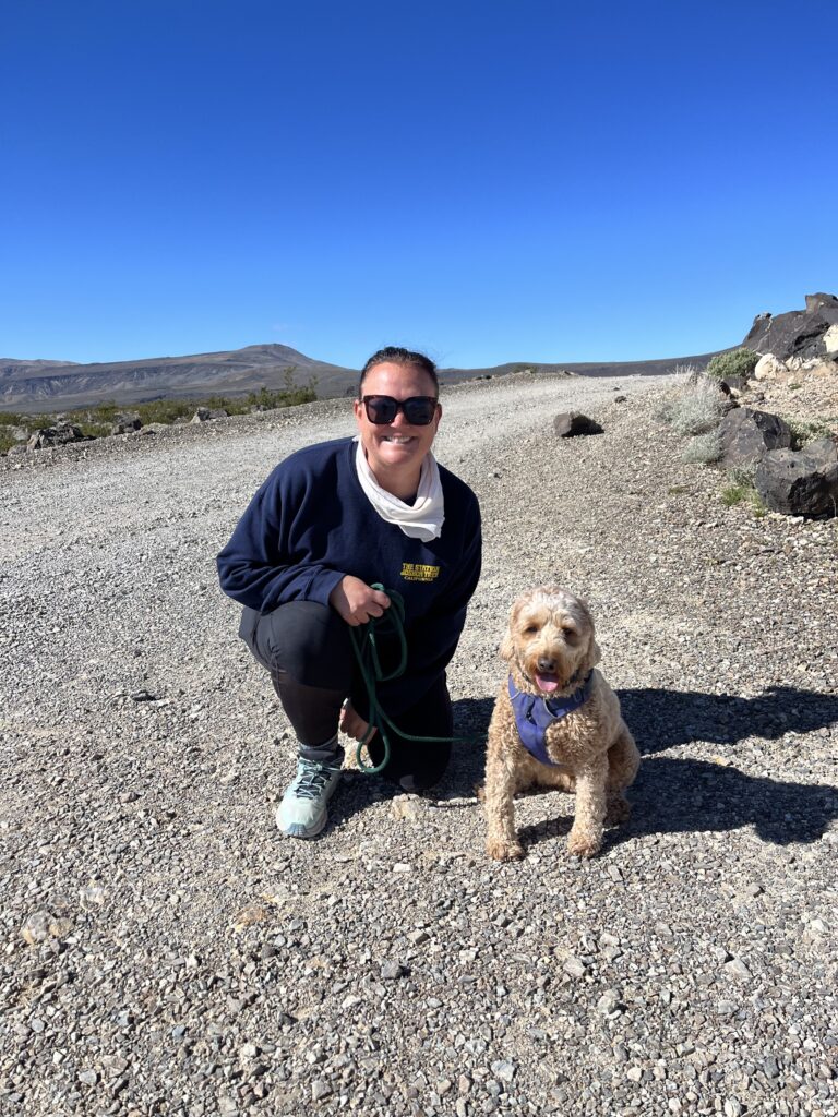 Dog friendly dirt road at Father Crowleys Vista Point in Death Valley.
