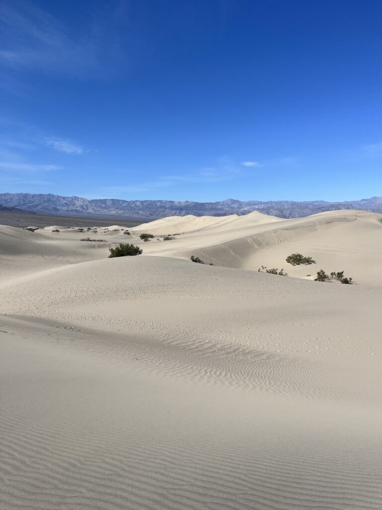 Mesquite Sand Dunes in Death Valley. 