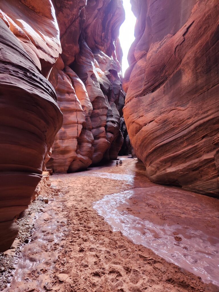 Buckskin Gulch Kanab Utah