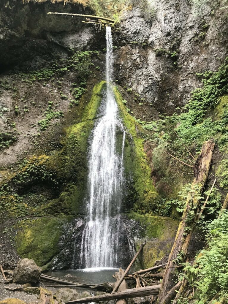 Marymere Falls Hike Olympic National Park