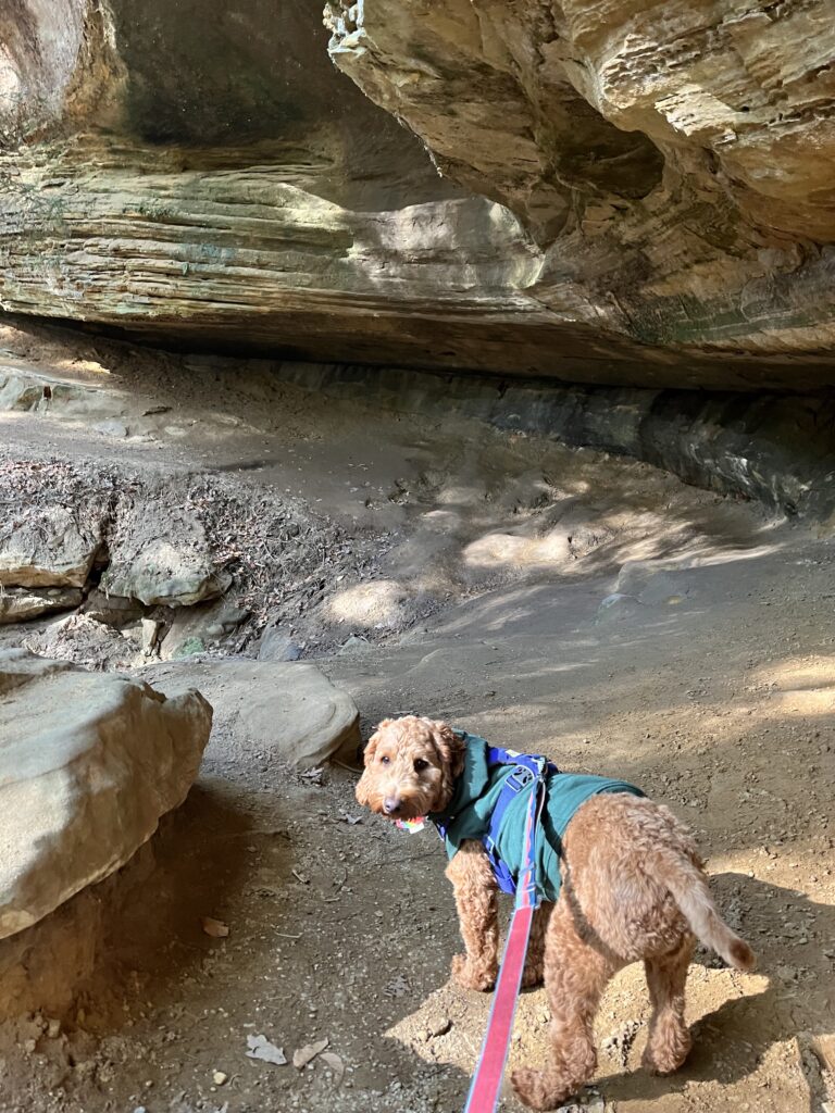 Dog friendly hike along the cave formations of Old Man's Cave in Hocking Hills Ohio.