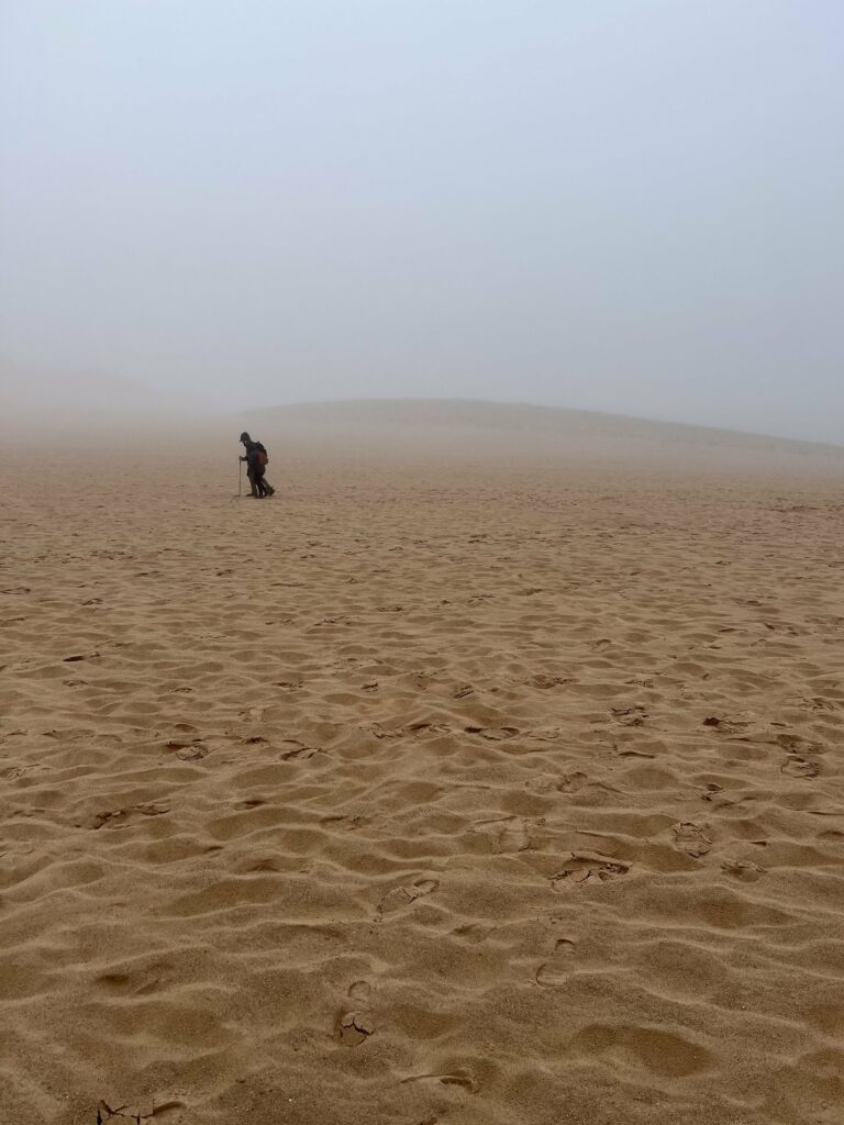 The Dune Climb in Sleeping Bear Dunes.