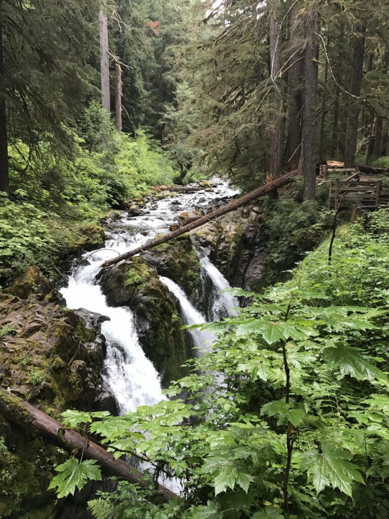 Sol Duc Falls is a great day hike in Olympic National Park.