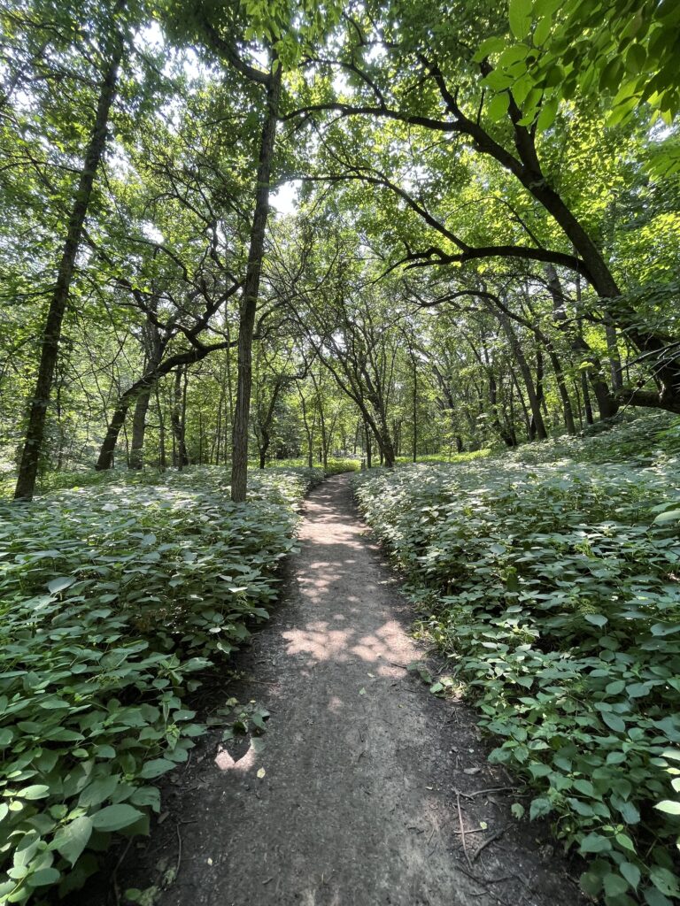 Hiking Trail in Newton Hills State Park